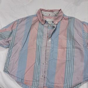 American Eagle Cropped Button Down Pastel Stripes